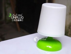 會發光的光合作用盆栽