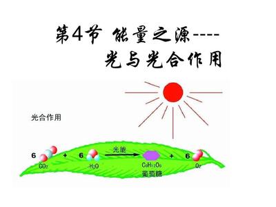 第4節(jié) 能量之源--光與光合作用公開(kāi)課PPT_word文檔在線(xiàn)閱讀與下載_無(wú)憂(yōu)文檔