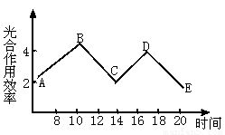 ⅰ.下面左圖是植物細(xì)胞亞顯微結(jié)構(gòu)模式圖.右圖是植物葉肉細(xì)胞中光合作用和呼吸作用的物質(zhì)變化示意簡(jiǎn)圖.其中a.b表示物質(zhì).① ④表示生理過(guò)程.據(jù)圖回答 1 紅色西瓜的瓜瓤細(xì)胞中