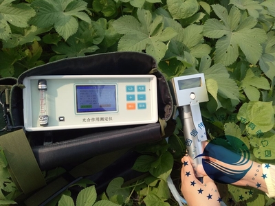 探秘光合作用的精密窗口——解析光合作用測定儀的工作原理與應用